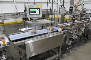 ap dataweigh inc checkweighers in the food industry