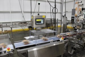 AP Dataweigh inc high resolution checkweighers