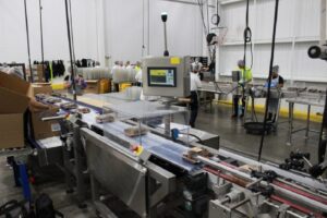 ap dataweigh inc checkweighers sorting solutions
